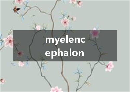myelencephalon是什么意思