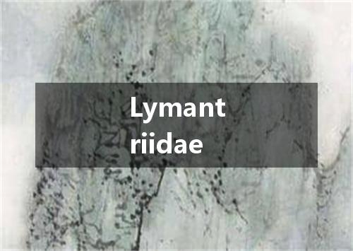 Lymantriidae是什么意思