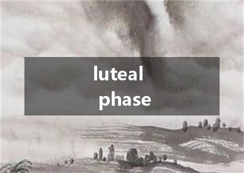 luteal phase是什么意思