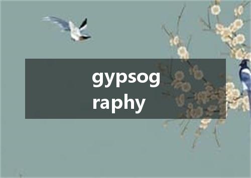 gypsography是什么意思