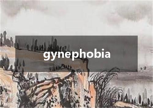 gynephobia是什么意思