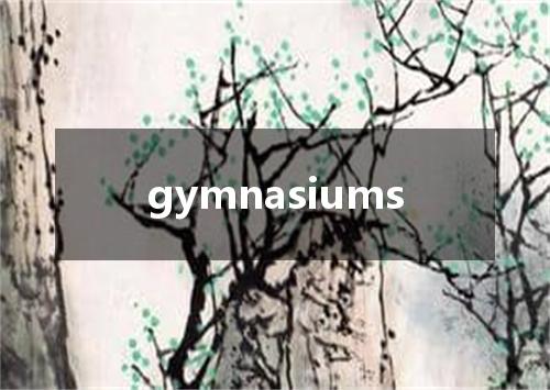 gymnasiums是什么意思