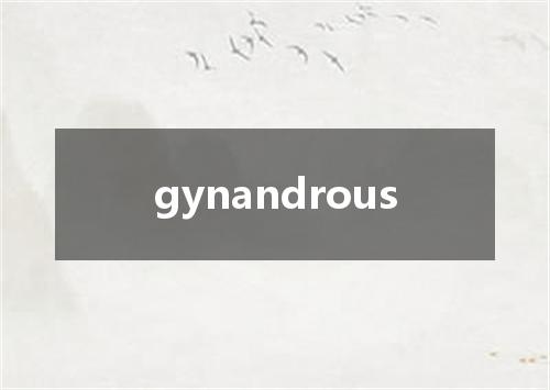 gynandrous是什么意思