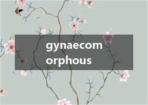 gynaecomorphous是什么意思