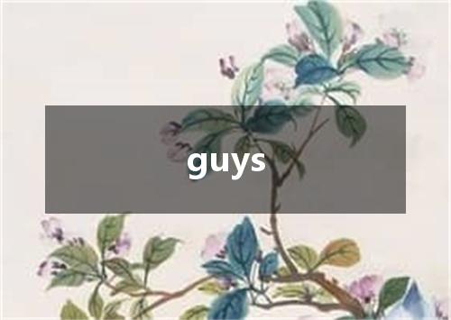 guys是什么意思