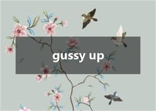 gussy up是什么意思