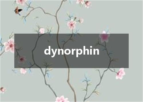 dynorphin是什么意思