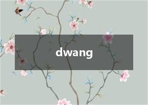 dwang是什么意思