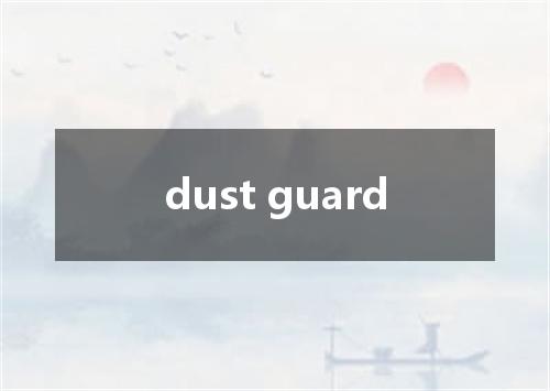 dust guard是什么意思