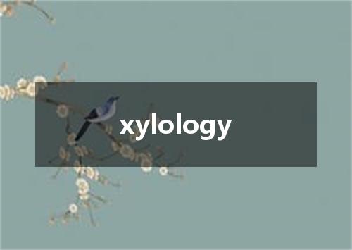 xylology是什么意思