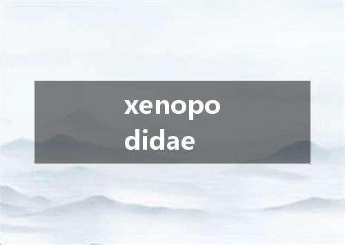 xenopodidae是什么意思