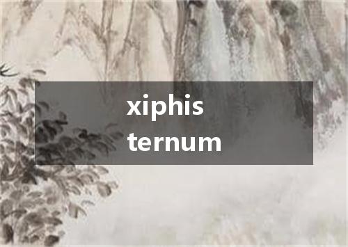 xiphisternum是什么意思
