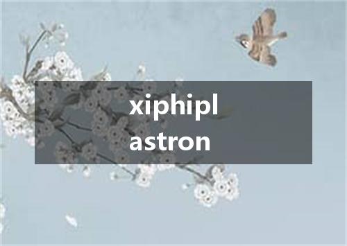 xiphiplastron是什么意思