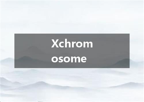 Xchromosome是什么意思