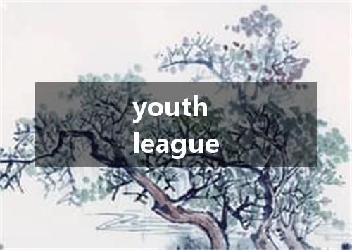 youth league是什么意思