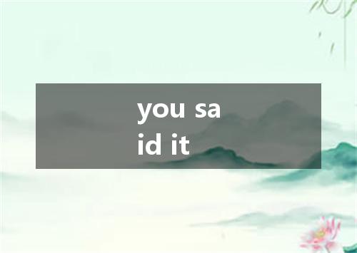 you said it是什么意思