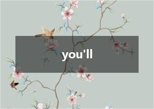 you'll是什么意思