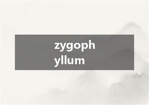zygophyllum是什么意思