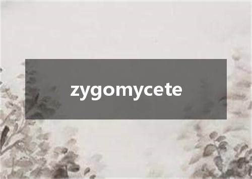 zygomycete是什么意思