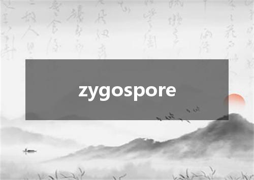 zygospore是什么意思