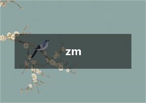 zm是什么意思