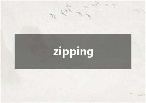 zipping是什么意思