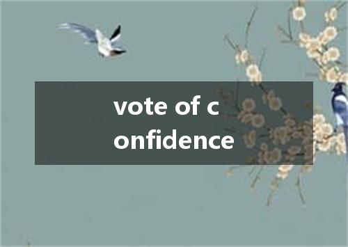 vote of confidence是什么意思