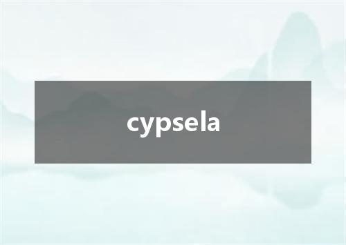 cypsela是什么意思
