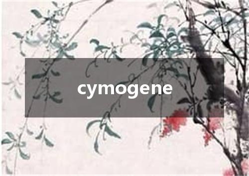 cymogene是什么意思
