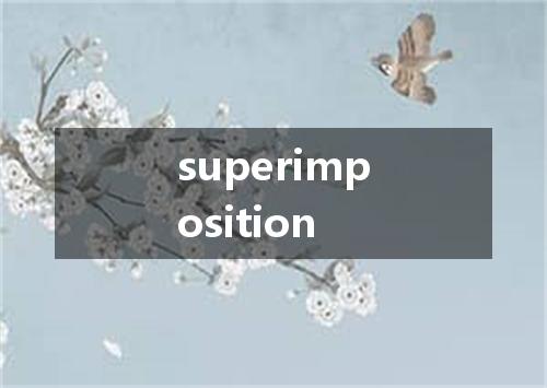 superimposition是什么意思
