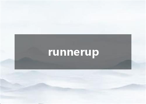 runnerup是什么意思