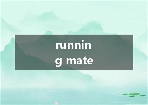 running mate是什么意思