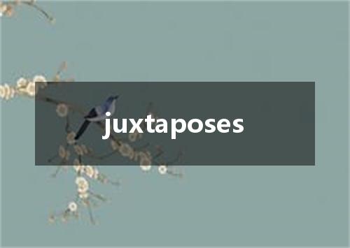 juxtaposes是什么意思