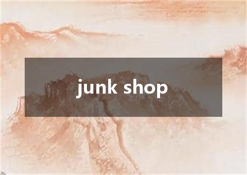 junk shop是什么意思