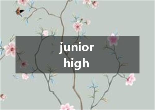 junior high是什么意思