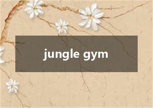 jungle gym是什么意思