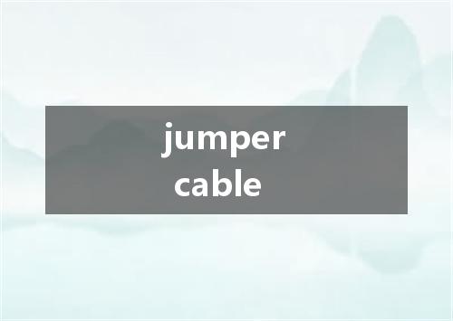 jumper cable是什么意思