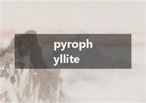 pyrophyllite是什么意思