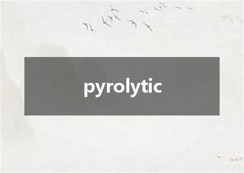 pyrolytic是什么意思