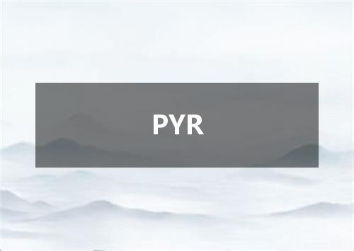 PYR是什么意思