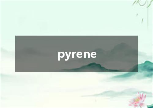 pyrene是什么意思