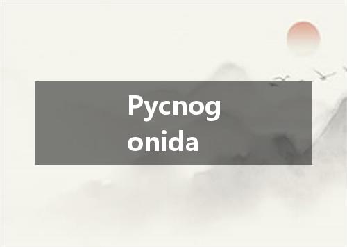 Pycnogonida是什么意思