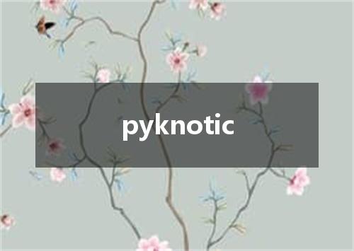 pyknotic是什么意思