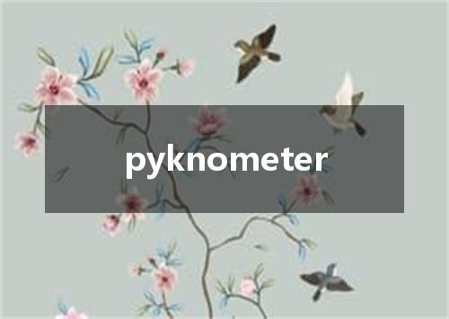 pyknometer是什么意思