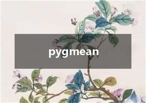 pygmean是什么意思