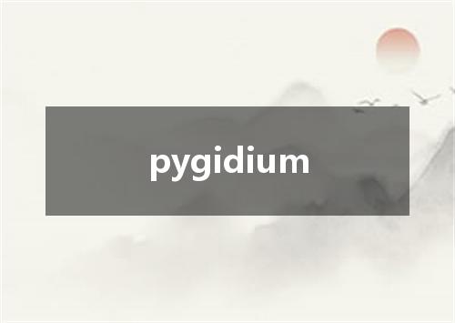 pygidium是什么意思