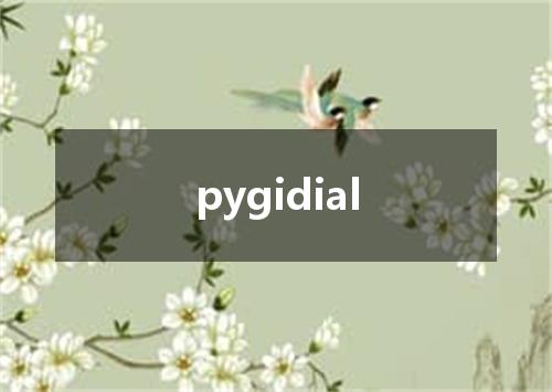 pygidial是什么意思