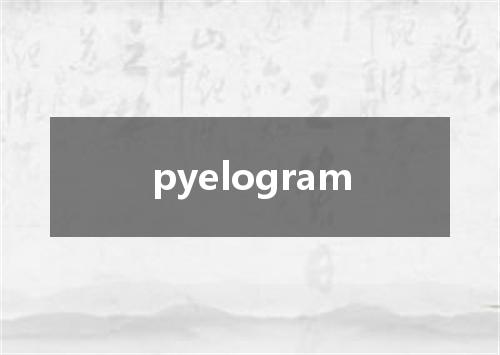pyelogram是什么意思