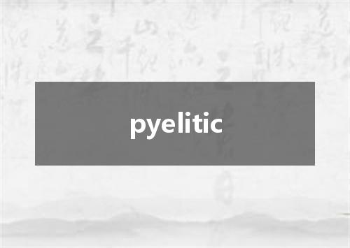 pyelitic是什么意思