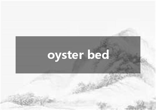 oyster bed是什么意思